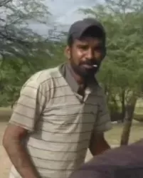 Homem morre ao ser atacado por abelhas na zona rural de Afogados da Ingazeira