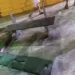 Mulher conduzida a delegacia após vandalizar praças e ameaçar a avó em Tabira; veja vídeo