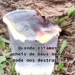 Palavra do Dia: Quando estamos cheio de Deus nada pode nos destruir!