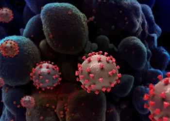 Brasil confirma primeiro caso da nova variante do coronavírus