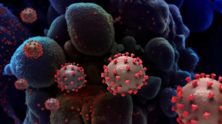 Brasil confirma primeiro caso da nova variante do coronavírus