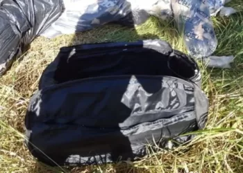 Mulher congela pedaços do marido junto de lanches que vendia