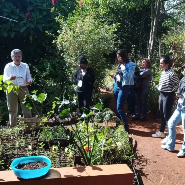 Biotecnologia: técnicas do Farmácia Viva de Afogados participam de treinamento em SP