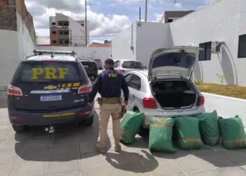Casal é preso pela PRF com mais de 200 kg de drogas em Arcoverde