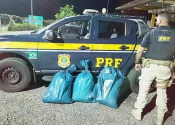 Casal é detido pela PRF com 35 quilos de maconha em Serra Talhada