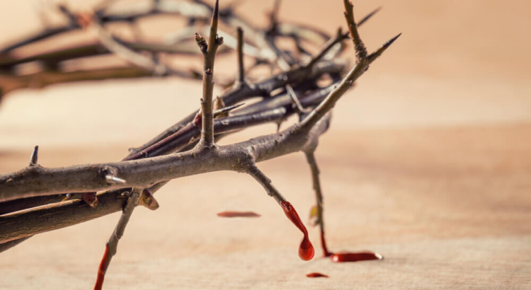 Palavra do Dia: Deus comprou com o sangue de Jesus
