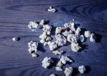Pedras de crack localizadas em estabelecimento comercial de Arcoverde
