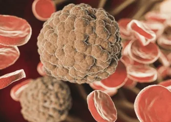 Candida auris: morre mais um paciente com o superfungo em Pernambuco; é o 3º óbito de 2023