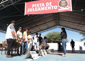 Expoagro: R$ 50 mil reais em premiações para caprinovinocultura