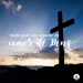Palavra do Dia: nada pode nos separar do amor de Deus