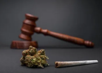 “Este é apenas o início para a liberação de todas as drogas”, diz MP-SP sobre a descriminalização do uso de drogas votada no STF