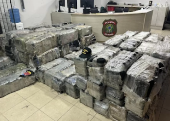 Navio com 3,6 toneladas de cocaína é apreendido em Pernambuco