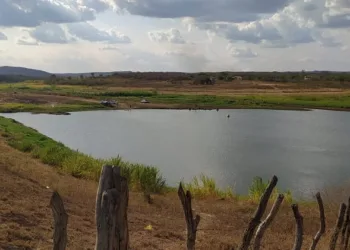 Água do Açude Velho de São José do Egito está contaminada e não pode ser usada