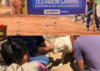 Tuparetama diz não à leishmaniose e encerra campanha com mais de 100 cães testados
