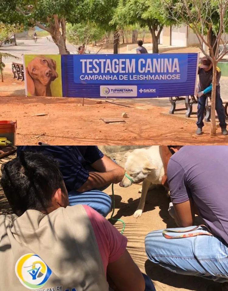 Tuparetama diz não à leishmaniose e encerra campanha com mais de 100 cães testados