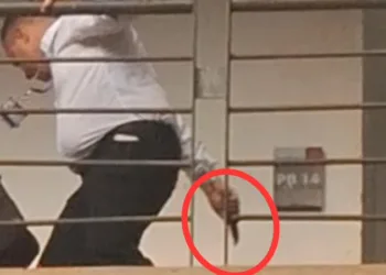 Professor universitário ameaça aluno com faca em campus; Assista