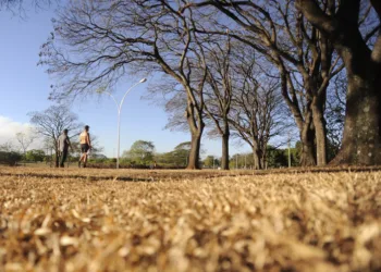 Apac emite alerta de baixa umidade para Sertão; índices podem ficar abaixo dos 20%