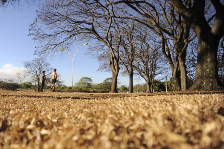 Apac emite alerta de baixa umidade para Sertão; índices podem ficar abaixo dos 20%