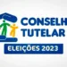 Confira os conselheiros tutelares eleitos no Pajeú e Arcoverde