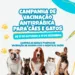 Tuparetama inicia campanha de vacinação antirrábica