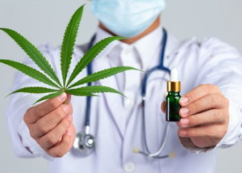 Brasil pode ganhar primeiro banco genético da planta Cannabis sativa; Saiba detalhes