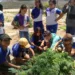 Prefeitura de Afogados desenvolve projeto-piloto hortas escolares