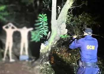 Homens são presos nus após serem flagrados fazendo sexo em parque, diz GCM