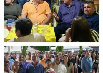 Vai entender a política?