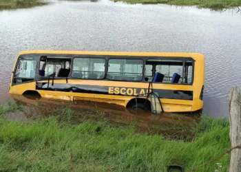 Ônibus escolar cai dentro de açude em Serra Talhada e deixa vários feridos
