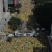 Manifestação com apoiadores de Bolsonaro lota avenida Paulista em SP. Ex-presidente diz que busca pacificação e pede anistia aos presos pelos atos do 8/1