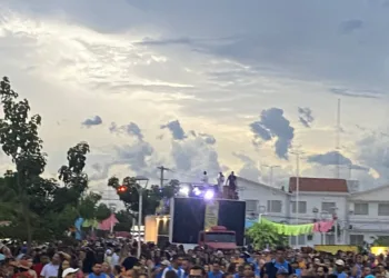 Confira fotos e live do Bloco O Bicho 2024