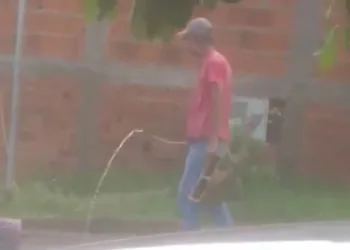 Homem é flagrado ao matar gato afogado