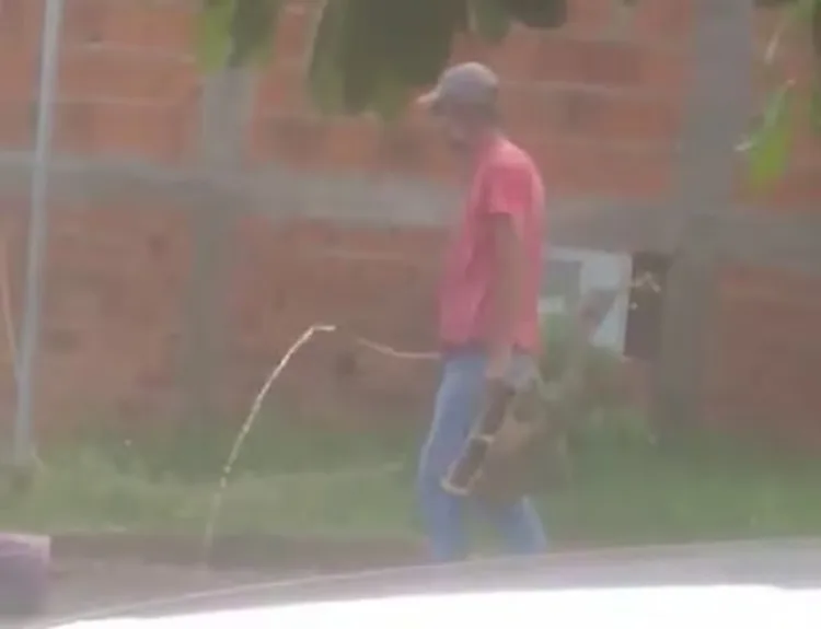 Homem é flagrado ao matar gato afogado
