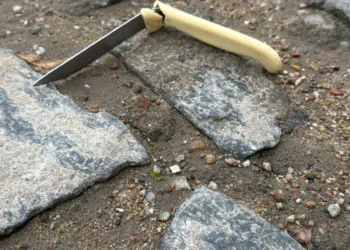 Tentativa de feminicidio em Tabira