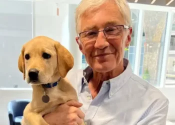 Apresentador deixa herança de R$ 800 mil para seus cães – cada um levará R$ 160 mil