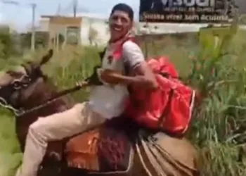 Entregador de delivery trabalha montado em burro após perder moto em blitz; Veja vídeo