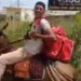 Entregador de delivery trabalha montado em burro após perder moto em blitz; Veja vídeo