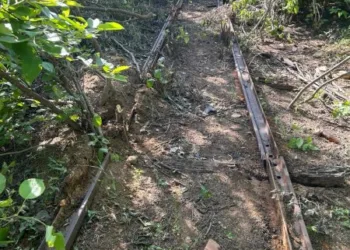 Homens são flagrados furtando trilhos da linha férrea em Afogados da Ingazeira