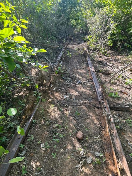 Homens são flagrados furtando trilhos da linha férrea em Afogados da Ingazeira