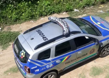 Perseguição policial e tiro na Rua Nova, em Afogados, na manhã desta sábado (13)