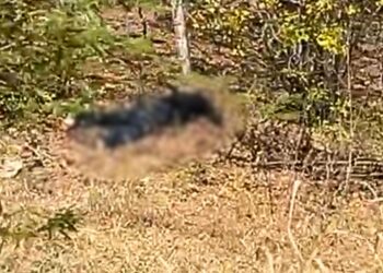 Agricultor de 43 anos encontrado com perfurações de bala em Serra Talhada