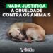 Blog Mais Pajeú Intensifica Luta pela Causa Animal com novas ações