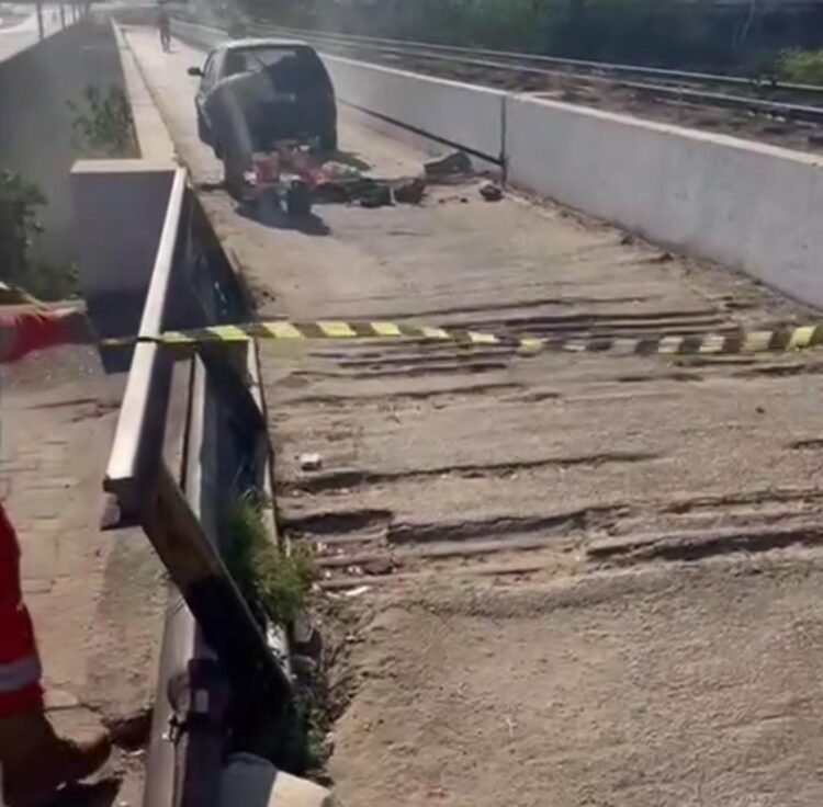 Segunda etapa da retirada de abelhas em ponte de Afogados concluída com sucesso