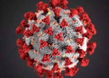 Pernambuco confirma primeira morte por covid em 2025