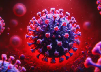 Pernambuco confirma primeiros casos de metapneumovírus em 2025; vírus foi identificado em crianças