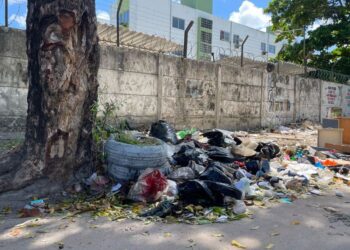 Bebê abandonada no Recife foi encontrada em área que tem ratos e escorpiões