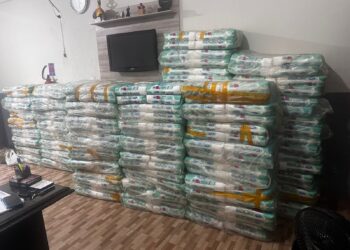 Fraldas no valor de quase 20 mil reais estão retidas em Afogados já que a Prefeitura de Betânia se recusa a pagar o frete