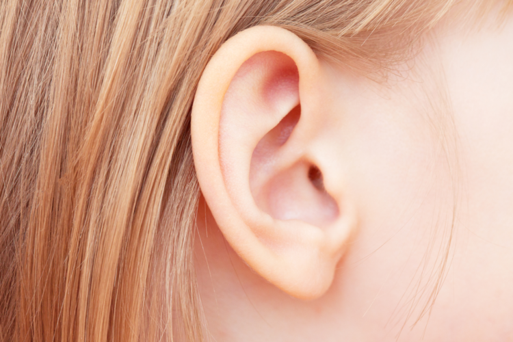 Mulher arranca 70% da orelha de rival a dentadas após descobrir que vítima pegava o ex dela