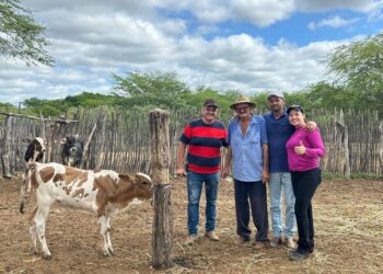 Prefeirura Municipal de Iguaracy realiza ação de vacinação contra a Brucelose