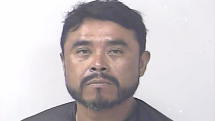 Homem preso por crueldade contra animais diz que seus cães cometeram suicídio